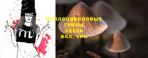 стафф Елабуга