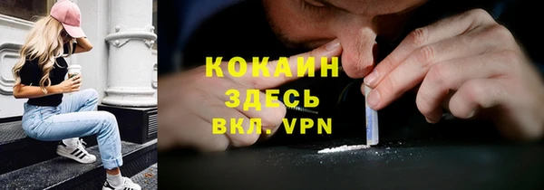 герыч Ельня