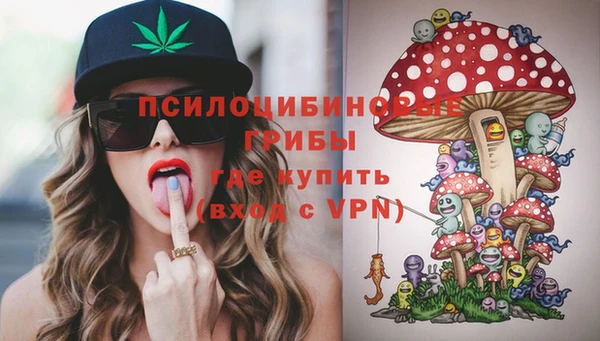стафф Елабуга