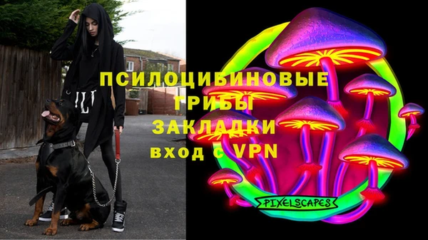 круглые Елизово