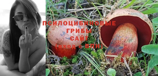 герыч Ельня