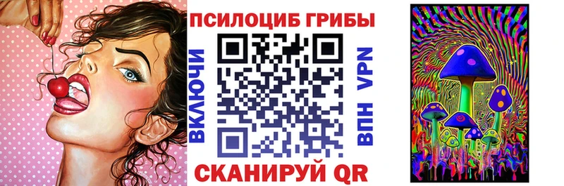 Псилоцибиновые грибы Psilocybine cubensis  где можно купить наркотик  Кизел 